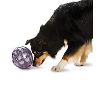 PetSafe Premier Busy Buddy Kibble Nibble Meal Dispensing Dog Toy