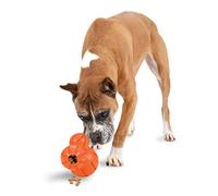 PetSafe Sportsmen Barnacle Jouet Distributeur de friandises pour Chien Rechargeable Taille L
