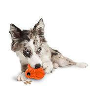 PetSafe Sportsmen Barnacle Jouet Distributeur de friandises pour Chien Rechargeable Taille M