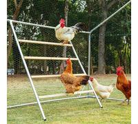 Petsfit Perchoir Carré de Poulet, Parfait pour la Volaille de Basse-Cour, Perch Perroquet Oiseau pour Poulailler, Facile à Assembler & Nettoyer, Jouet de Poulet (140 cm L x 100 cm l)