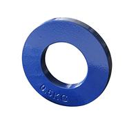 PETSOLA Fractional Weights Disque Plaque Progressive Disque de Poids pour Barres Standards Mini Plaque Incremental Accessoire D'Entraînement Acier Adapté pour, Vert 0.5kg