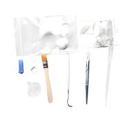 PETSOLA Kit D'entretien pour Fourmis avec Outils, Kit pour Débutants, Trois Boules de Coton, Brosse, Outils pour L'élevage de Fourmis D'intérieur,