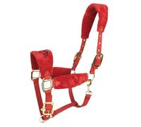 PETSOLA Licou Cheval Cordage Ajustable Harnais Têtière Nylon Tressé Résistant Fonction Durabilité Adapté pour Sports Équestres Travail Au Sol Ranch, Rouge M
