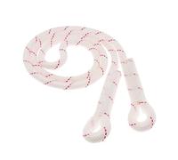 PETSOLA Longe Dynamique Corde de Sécurité Longe de Protection Ligne d'escalade Corde Non Réglable en Polyester Haute Résistance Adaptées Aux Travaux en Haute
