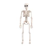 PETSOLA Modèle de Squelette D'Halloween, Anatomie Du Squelette, Articulations Mobiles, Soirée à Thème Horreur