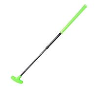 PETSOLA Putter de Golf en Aluminium, Outil D'entraînement Double Face Antidérapant, Accessoire Idéal pour Débutants à La Maison, Au Jardin Ou Au Bureau, P, Vert