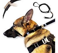 PetsProMax - Licol pour Chien, Collier de Dressage pour Chien, Collier de Promenade/Dressage pour Chiens, empêche instantanément Votre Chien de Tirer. Taille L (L)