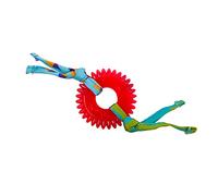 Petstages Anneau pour chat Kitty Chew Wheel - herbe à chat/hygiène dentaire