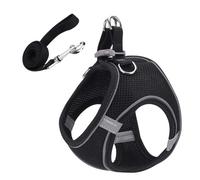 Pettarina pour chat | Poitrine réglable | Chats | Laisse polyvalente en polyester pour chatons et chiots, tailles XX-XL, couleurs noir/bleu/orange/rouge, idéale pour les excursions et les voyages