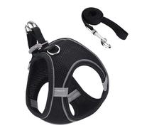 Pettarina pour chat | Poitrine réglable | Chats | Laisse polyvalente en polyester pour chatons et chiots, tailles XX-XL, couleurs noir/bleu/orange/rouge, idéale pour les excursions et les voyages