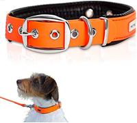 PetTec® Trioflex Collier pour Chien en Cuir - Confortable et Résistant pour Chiots et Chiens de Toutes Tailles - Collier Réglable pour Petit, Moyen et Grand Chien- Idéal pour la Chasse et le Quotidien