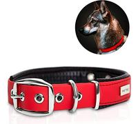 PetTec® Trioflex Collier pour Chien en Cuir - Confortable et Résistant pour Chiots et Chiens de Toutes Tailles - Collier Réglable pour Petit, Moyen et Grand Chien- Idéal pour la Chasse et le Quotidien