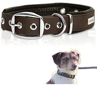 PetTec® Trioflex Collier pour Chien en Cuir - Confortable et Résistant pour Chiots et Chiens de Toutes Tailles - Collier Réglable pour Petit, Moyen et Grand Chien- Idéal pour la Chasse et le Quotidien