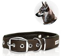 PetTec® Trioflex Collier pour Chien en Cuir - Confortable et Résistant pour Chiots et Chiens de Toutes Tailles - Collier Réglable pour Petit, Moyen et Grand Chien- Idéal pour la Chasse et le Quotidien