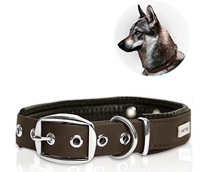 PetTec® Trioflex Collier pour Chien en Cuir - Confortable et Résistant pour Chiots et Chiens de Toutes Tailles - Collier Réglable pour Petit, Moyen et Grand Chien- Idéal pour la Chasse et le Quotidien