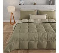 PETTI Artigiani Italiani - Couette Chaude Hiver 160x260 Bicolore BoueTaupe, Couette Double Face, Couette pour lit 1 Personnes, Couette en Microfibre 300g/m², Made in Italy