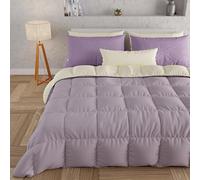 PETTI Artigiani Italiani - Couette Chaude Hiver 260x270 Bicolore CrèmeLilas, Double Face, Couette pour lit 2 Personnes, en Microfibre 300g/m², Made in Italy