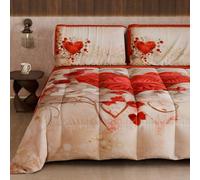 Petti Artigiani Italiani - Couette d'hiver Double Face, Couleur Unie et Impression numérique, Shabby 04 338, 100% Microfibre, fabriquée en Italie