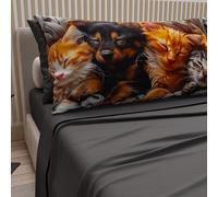Petti Artigiani Italiani - Parure de lit pour Animaux avec Chats et Chiens en Coton avec taies d'oreiller en Impression numérique, draps Une Place et demie française, avec lit 1 Place et demie Gris