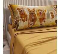 PETTI Artigiani Italiani - Parure de lit pour Animaux avec Chats et Chiens en Coton avec taies d'oreiller en Impression numérique, draps Simples, 100% Jaune