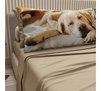 PETTI Artigiani Italiani - Parure de lit pour Animaux avec Chiens en Coton avec taies d'oreiller en Impression numérique, draps Doubles, lit Double Taupe, 100% fabriqué en Italie