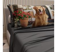 PETTI Artigiani Italiani - Parure de lit pour Animaux avec Chiens en Coton avec taies d'oreiller en Impression numérique, draps Doubles Maxi, Parure de lit Double Gris, 100% fabriquée en Italie