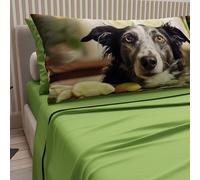 PETTI Artigiani Italiani - Parure de lit pour Animaux avec Chiens en Coton avec taies d'oreiller en Impression numérique, Une Pizza et demie, Une Place et demie Verte, 100% fabriquée en Italie