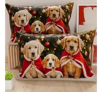 Petti Artisans Italiens - Paire de Housses de Coussin en Microfibre 50x80 cm, Coussins Décoratifs de Noël pour Chambre, Canapé, Salon, Lot de 2 Housses de Coussin, Taie d'oreiller Noël 18