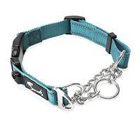 PETTOM Collier Semi Étrangleur Nylon pour Chien Collier Chien Bleu Nylon Réglable Réfléchissant Nuit avec Boucle de sécurité pour Petit Chien Chiot (S: 37.5-43 CM, Bleu)