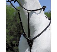Pettorale Élastique Avec Martingale En Y