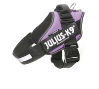 JULIUS K-9 IDC Powerharness, Taille: XL/2, Crazy
