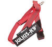 Pettorina Julius K9 per cani IDC Color & Gray Belt Harness Taglia 0 Julius-k9