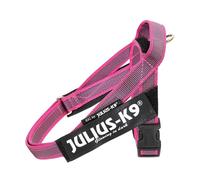 Pettorina Julius K9 per cani IDC Harness Color & Gray Belt mini Julius-k9