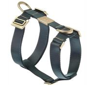 Pettorina per cani con doppio anello per aggancio guinzaglio modello Mida Large Verde