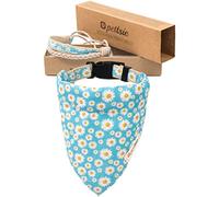 Pettsie Collier Bandana pour Chien, Bracelet d'amitié Assorti au propriétaire, Coffret Cadeau, 2 Tailles faciles à régler, Chanvre Doux, Anneau en D Solide pour Laisse, M, Turquoise