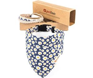 Pettsie Collier Bandana pour Chien, Bracelet d'amitié Assorti au propriétaire, Coffret Cadeau, 4 Tailles faciles à régler, Chanvre Doux, Anneau en D Solide pour Laisse, XS, Bleu