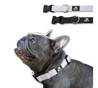 PettyItalia, Collier pour Chien Réglable en Biothane, Imperméable, avec D-Ring et Fermeture de Sécurité, pour Chiens de Petite, Moyenne et Grande Taille, Couleur Violet, Taille M