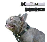 PettyItalia, Collier pour Chien Réglable en Biothane, Imperméable, avec D-Ring et Fermeture de Sécurité, pour Chiens de Petite, Moyenne et Grande Taille, Couleur Noire, Taille M
