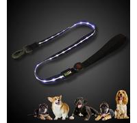 PettyItalia, Laisse Lumineuse à LED pour Chiens, 3 Modes d'Éclairage, Rechargeable par USB et Imperméable, pour Chiens de Moyenne et Grande Taille, Couleur Noire, Taille M