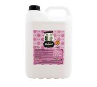 Petuxe Shampooing végétalien pour animaux sans sel de mandarine. pour les mains irritées. Shampoing pour chien. Shampoing pour chat Toutes races. Toiletteur pour chiens à usage professionnel - 5000 ml