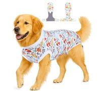 PetWarm Combinaison chirurgicale pour chien mâle après neutre, vêtements intérieurs pour chien, body pour plaies abdominales, maladie de la peau, alternative au collier électrique, costume