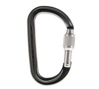 Petzl Am'D Screw-Lock Mousqueton Taille unique Gris