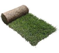 PetZolla Recharge S Chat 60x40cm - Lit d'été pour Chats en Vrai Gazon avec Herbe à Chat, Remplacement Facile pour Le Kit Chat S, Lit pour Chats d'intérieur, Dure jusqu'à 5 Mois
