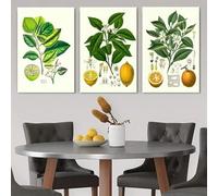 PEWFBS Lot de 3 toiles décoratives botaniques minimalistes, style aquarelle, représentant des branches et des feuilles de citronnier, pour salon ou salle à manger (70 x 90 cm x 3 / sans cadre).
