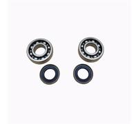 Pexorin Jeu de joints d'huile de roulement à billes de vilebrequin, for Husqvarna 254 257 262 357 359 51 55, pièces de tronçonneuse à essence Kit de roulements de vilebrequin pour tronçonneuse