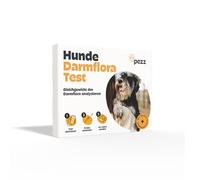PEZZ Test de flore intestinale pour chien - Analyse l'équilibre de la flore intestinale et exclut la dysbiose - 1 échantillon de matières fécales nécessaire - Composition des micro-organismes