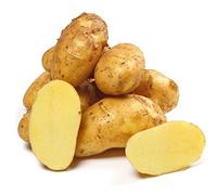 Pfälzer Pommes de terre nouvelle récolte 2021, variétés : berbère bouillante 25 kg