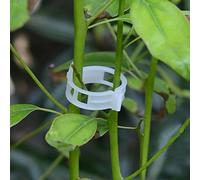 PFativant 100 pcs Plante Tuteur Support de Jardin Clips pour Les Légumes Tomate Vigne Tiges de Croissance Droit Plus Sain Environ 23mm PP Transparent