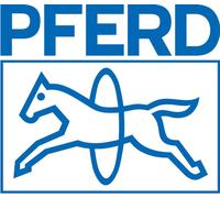 PFERD 19600201 Lime d'atelier longueur 200 mm 12 pces