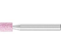 PFERD 31111258 Meule sur tige Diamètre 8 mm 10 pc(s)